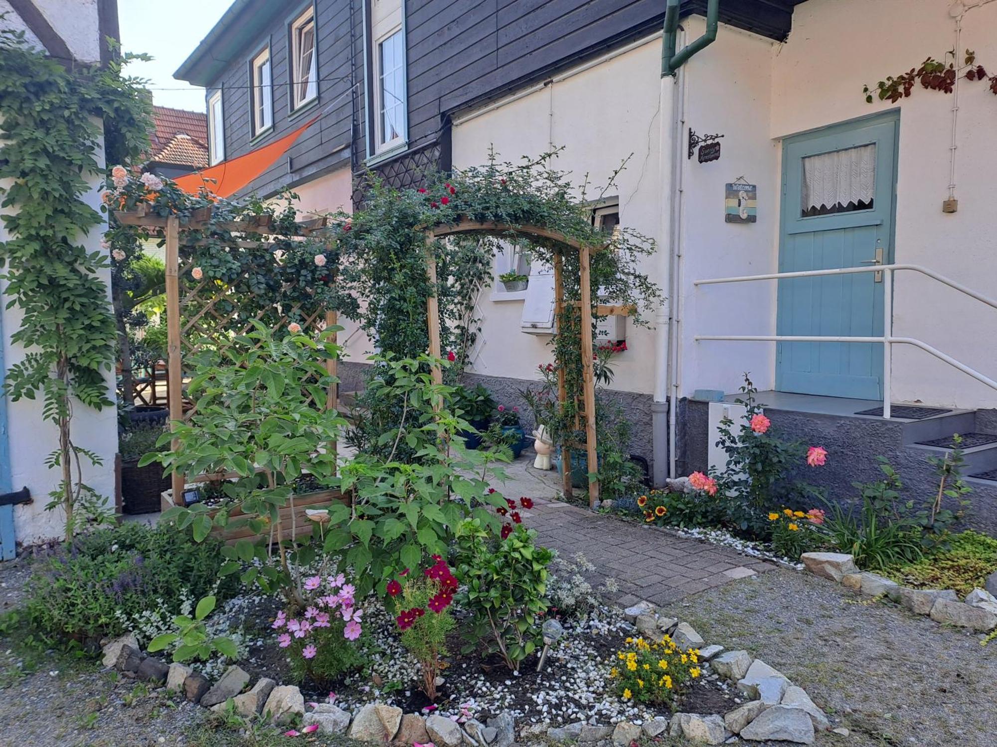Sonniges Apartment Altenbrak Exterior foto